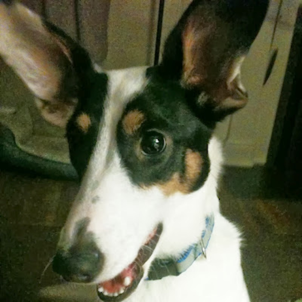 Meet your Posher, Kenzi